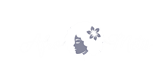 Afrometis